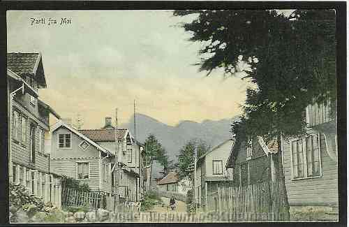 Nysted Moi